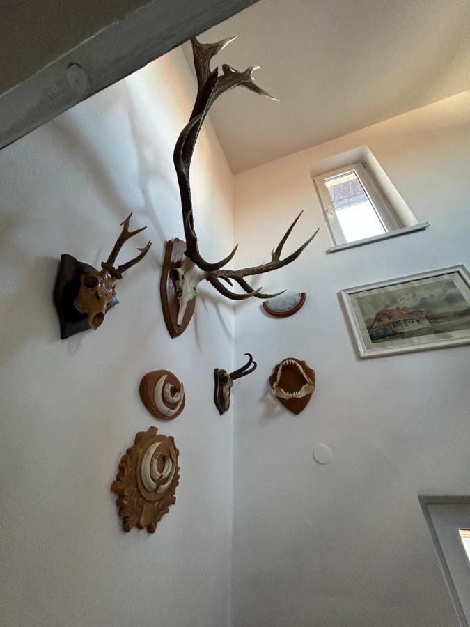 Casa Bunicilor Villa Colonia Sase Martie Eksteriør bilde