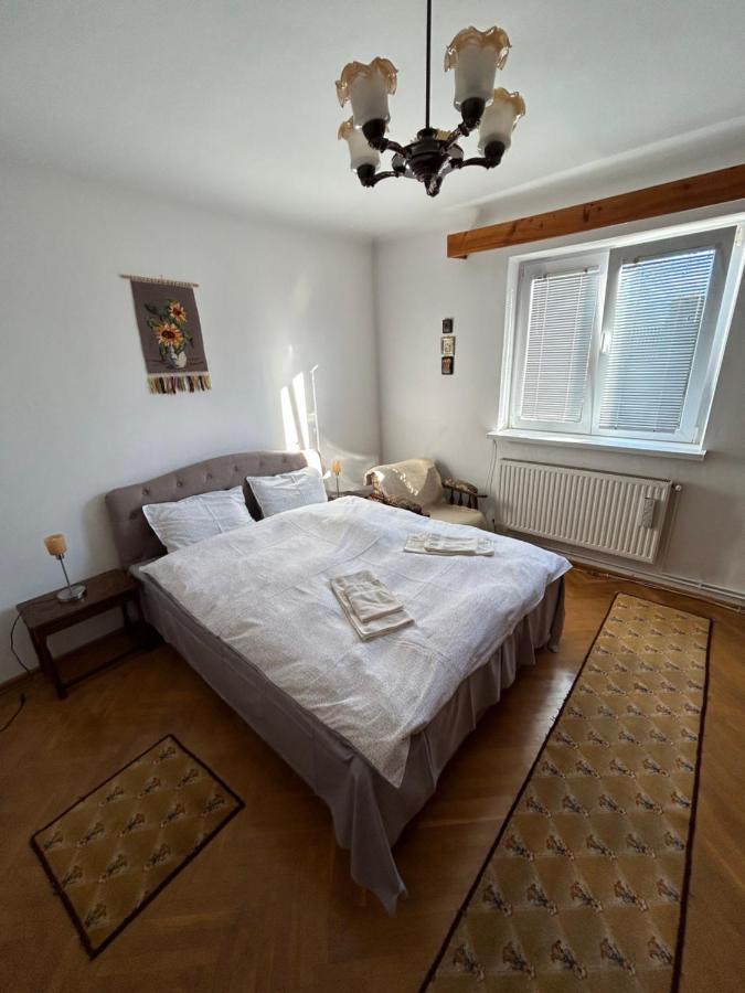 Casa Bunicilor Villa Colonia Sase Martie Eksteriør bilde